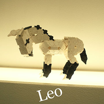 Leo - Leo